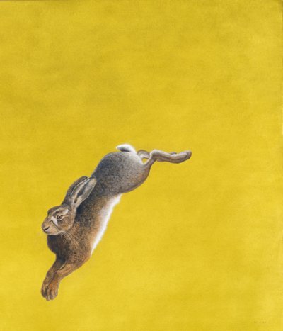 The Leap-Yellow, Aguarela e guache em Arcos 640 g - m2, 101,6 x 86,3cm de Tim Hayward