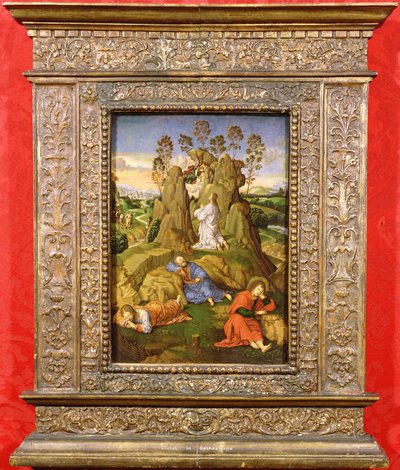 Cristo no Getsêmani, c.1510 (óleo no painel) de Timoteo Viti