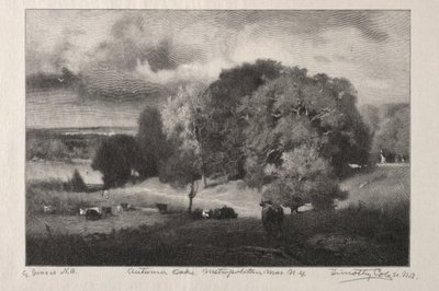 Carvalhos de outono de Timothy Cole