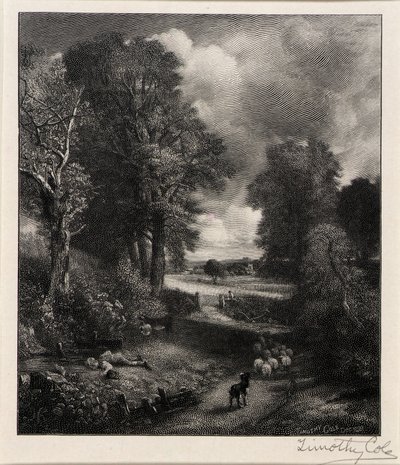 Campo de milho de Timothy Cole