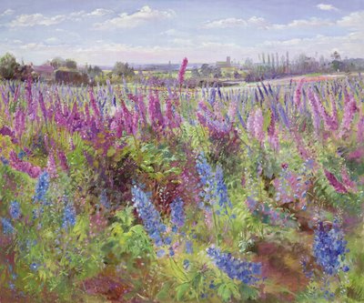Campo Delphinium e Igreja de Timothy Easton