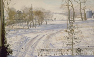 Pesquisando Moorhens de Timothy Easton