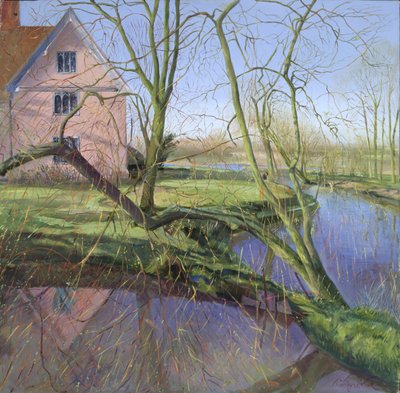 Salgueiro em crescimento de Timothy Easton