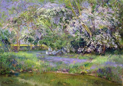 Colméias da floresta de Timothy Easton