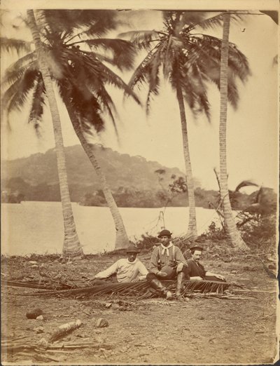 [Membros da tripulação da expedição de Selfridge ao Istmo de Darién (Panamá) de Timothy H. OSullivan