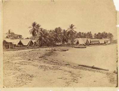 [Cabanas, palmeiras e praia, Itshumus, em Darién (Panamá)] de Timothy H. O
