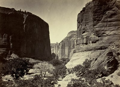 Cabeça do Cañon de Chelle, olhando para baixo. Paredes com cerca de 1200 pés de altura de Timothy O