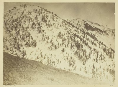 Snow Peaks, Distrito Mineiro de Bull Run, Nevada de Timothy O