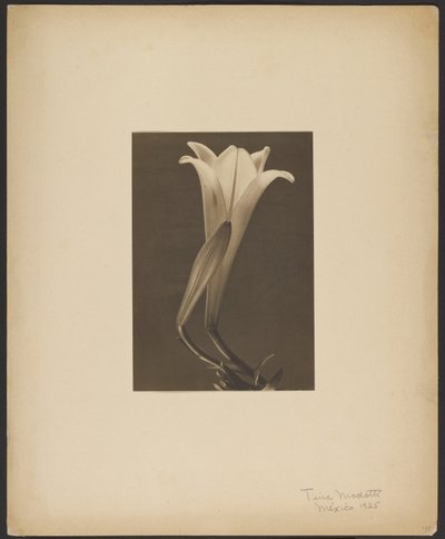 N.º 1. de Tina Modotti