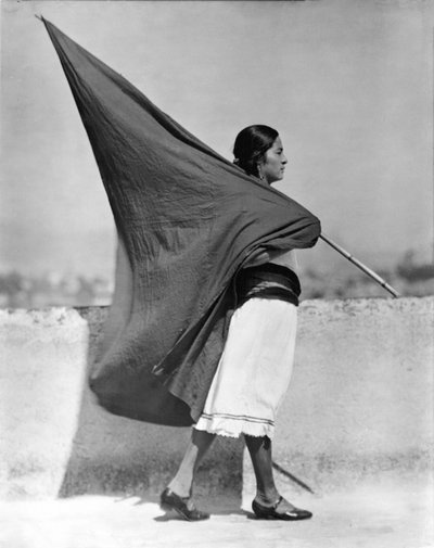 Mulher, com, bandeira, cidade do méxico, 1928 de Tina Modotti