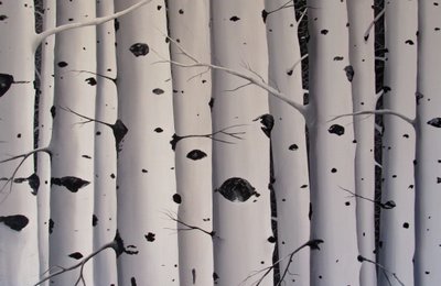 Árvores de bétula, 2017 (acrílico sobre tela) de Tina Palmer