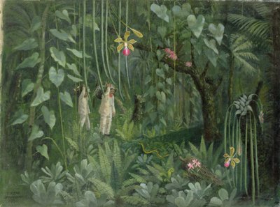 Caçadores de Orquídeas do Brasil de Tirzah Ravilious
