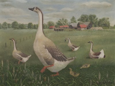 Vai deambular? de Tirzah Ravilious