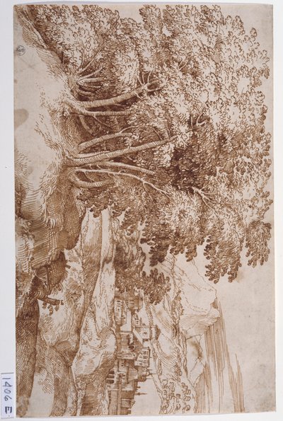 Paisagem com árvores à esquerda e uma cidade ao fundo (caneta e tinta sobre papel) de Titian (c.1488 1576)
