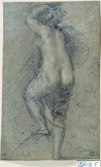 Mulher nua (giz sobre papel) de Titian (c.1488-1576)