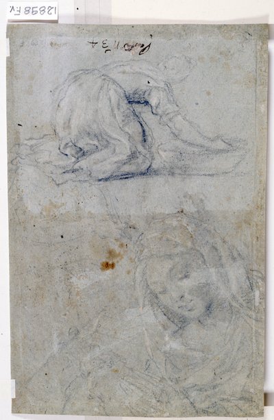 Estudos da Virgem (carvão sobre papel) de Titian (c.1488-1576)