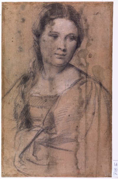 Retrato de uma jovem rapariga de Tiziano Vecelli