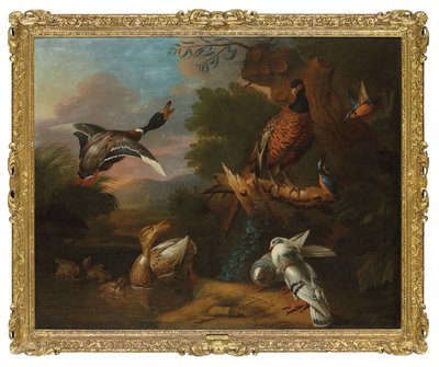 Um faisão, pombos, patinhos e peixe-rei com um pato-real a voar numa piscina arborizada, uma paisagem além (óleo sobre tela) de Tobias (circle of) Stranover