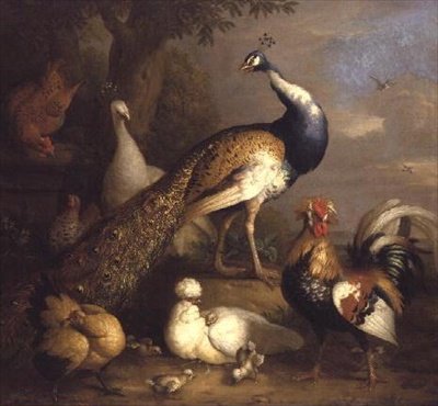Pavão, Peahen e Aves em Paisagem de Tobias Stranover