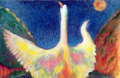 Leda e o Cisne de Tom Cook
