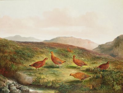 Galo silvestre em uma paisagem Moorland de Tom Hold