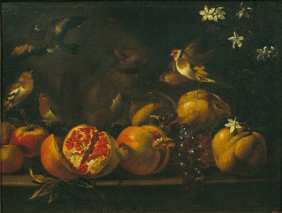Natureza morta com romãs, uvas, pássaros e um esquilo de Tommaso Realfonso