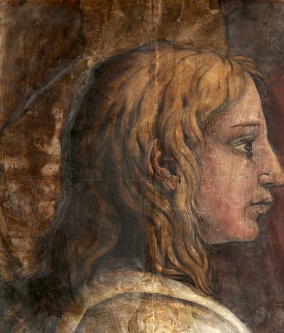 Uma cabeça do desenho animado para a tapeçaria da apresentação no templo, c.1524 (óleo e têmpera no papel) de Tommaso Vincidor