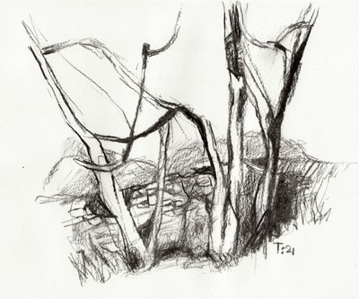 Esboço de uma floresta nua de Tore Bahnson