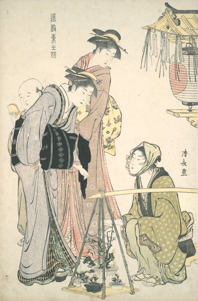 Compra de plantas em vaso: Brocadas do Oriente de Torii Kiyonaga