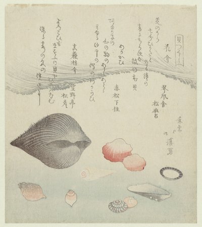 Concha da flor, concha vermelha e a concha vermelha pura
Hanagai akagai masuogai (título sobre o objecto)
Uma série de conchas (título da série)
Kaitsukushi (título da série sobre o objecto) de Totoya Hokkei