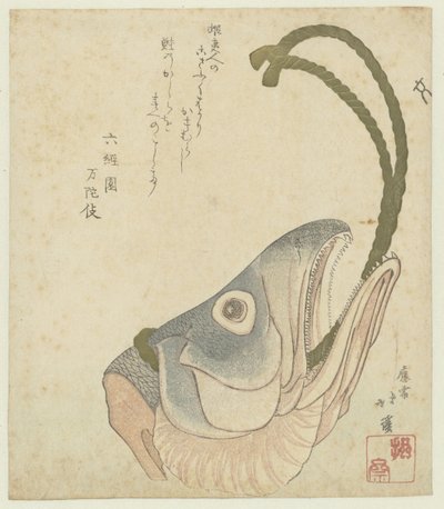Cabeça de um salmão de Totoya Hokkei