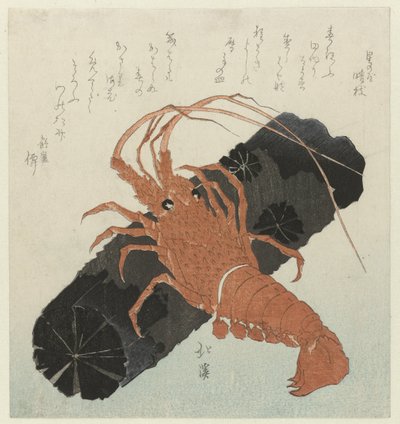 Lagosta com carvão vegetal de Totoya Hokkei