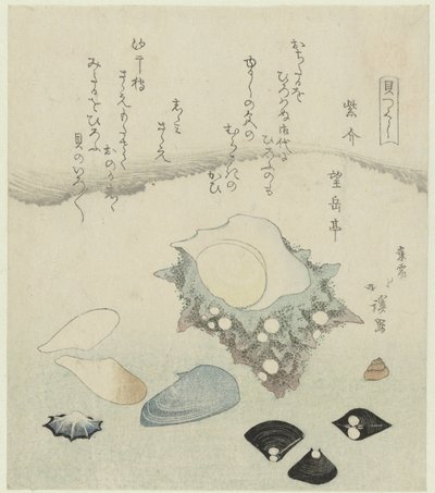 Concha roxa, mariscos de água doce e uma concha de turbante Murasakigai shijimi sazae (título no objeto) Uma série de conchas (título da série) Kaitsukushi (título da série no objeto) de Totoya Hokkei