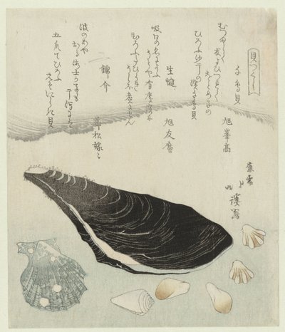 Concha de tarambola, mexilhão cru e concha de brocado
Chidorigai namakaki nishikigai (título sobre o objecto)
Uma série de conchas (título da série)
Kaitsukushi (título da série sobre o objecto) de Totoya Hokkei