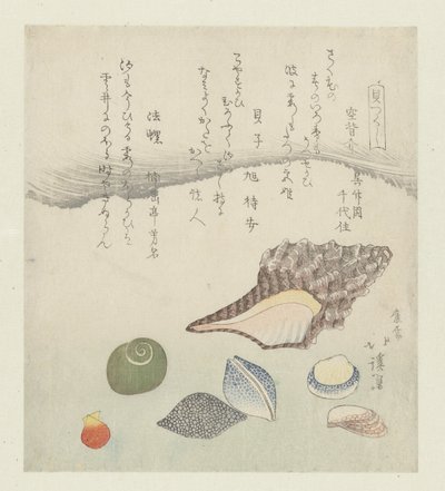 Concha reflectora, concha de marfim e concha de tritão
Utsusegai baishi hora (título sobre o objecto)
Uma série de conchas (título da série)
Kaitsukushi (título da série sobre o objecto) de Totoya Hokkei