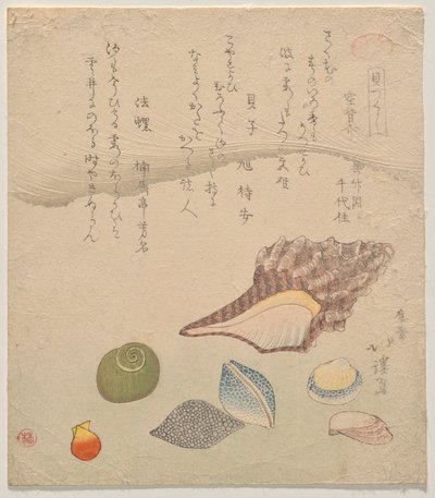 Seven Shells at the Edge of the Sea, da série Shells Compendium (Kaizukushi) de Totoya Hokkei