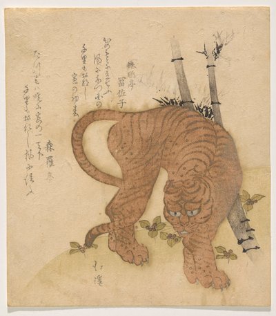 Tigre fazendo uma pose de Totoya Hokkei