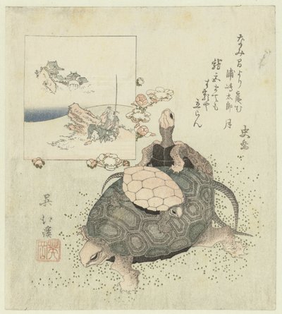 Tartarugas de Totoya Hokkei