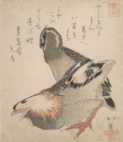 Dois pássaros. de Totoya Hokkei