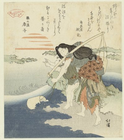 Zoutwaterputten de Totoya Hokkei