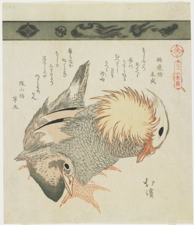 Pato Mandarim e Drake, c. 1830 de Toyota Hokkei