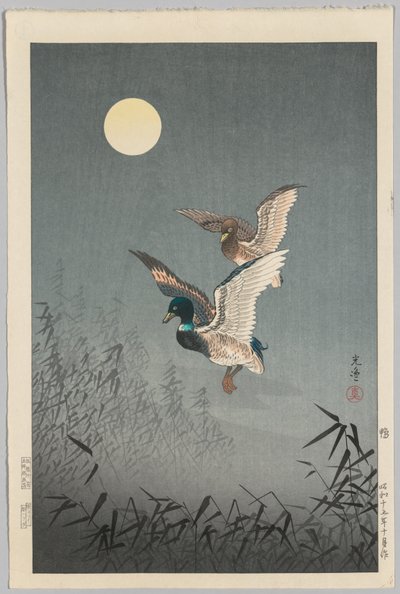 Vistas de Tóquio: Patos de Tsuchiya Kōitsu