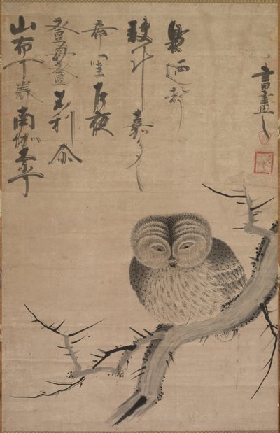 Coruja de Tsuda Bensaku