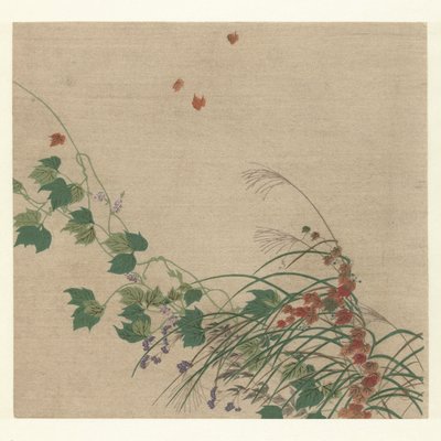 Outono de Tsukioka Kogyo