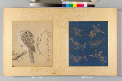 Álbum de falcões e caligrafia de Tsunenobu Kano