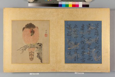 Álbum de falcões e caligrafia de Tsunenobu Kano