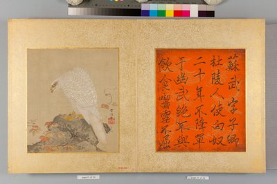 Álbum de falcões e caligrafia de Tsunenobu Kano