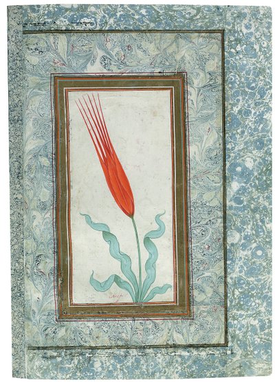 Página do álbum Turco do Tulip, Istambul, 1725 de Turkish School