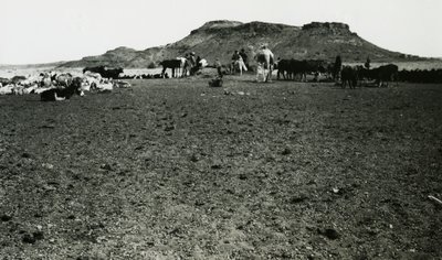 Vista da zona arqueológica de Naqa, com dromedários e gado, Sudão, fotografia de Ugo Monneret de Villard de Ugo Monneret de Villard