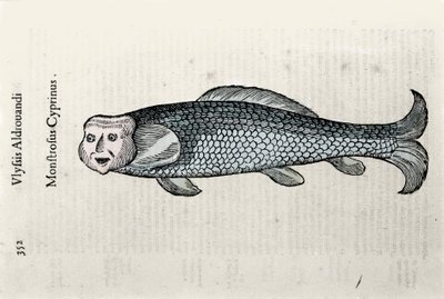 Representação de peixes Nicolas Plate ilustrada com um manuscrito de História Natural de Ulisse Aldrovandi (1522-1605), fontes de Ulisse Aldrovandi, Biblioteca da Universidade de Bolonha, ed. 1603. de Ulisse Aldrovandi